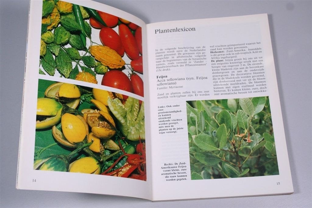 Avocado tot Zoete Aardappel — Zelf telen — 1990, Ophalen of Verzenden, Gelezen, Interieur en Design