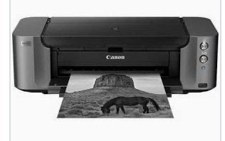 canon pixma pro 10 s, Fotoprinter, Kleur printen, Canon, Inkjetprinter