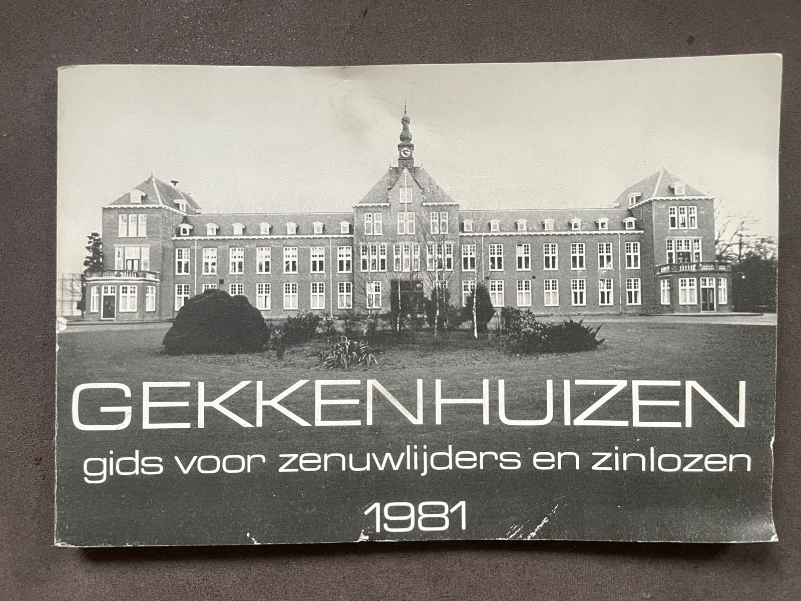 Gekkenhuizen: Gids voor zenuwlijders en zinlozen 1981, Ophalen of Verzenden, Gelezen