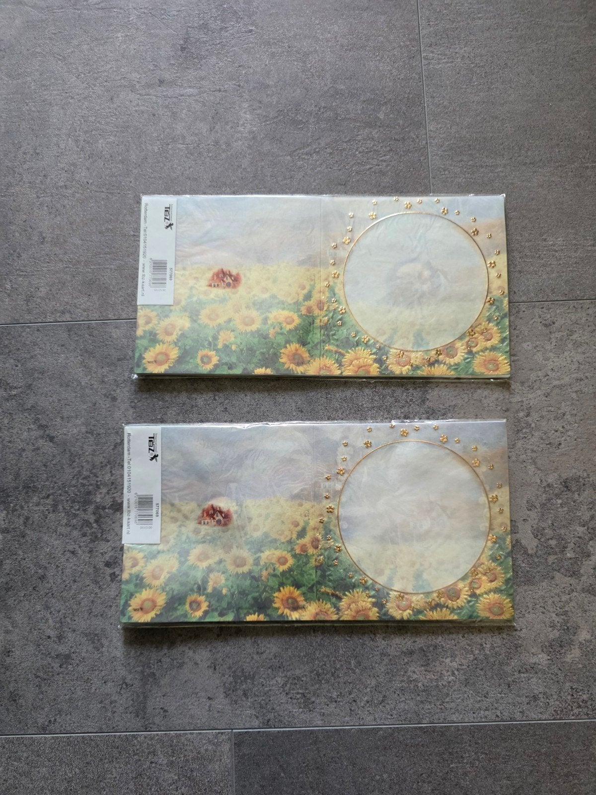 International TBZ voorbedrukte vellum wenskaarten NIEUW, Hobby en Vrije tijd, Kaarten | Zelf maken, Ophalen of Verzenden, Nieuw