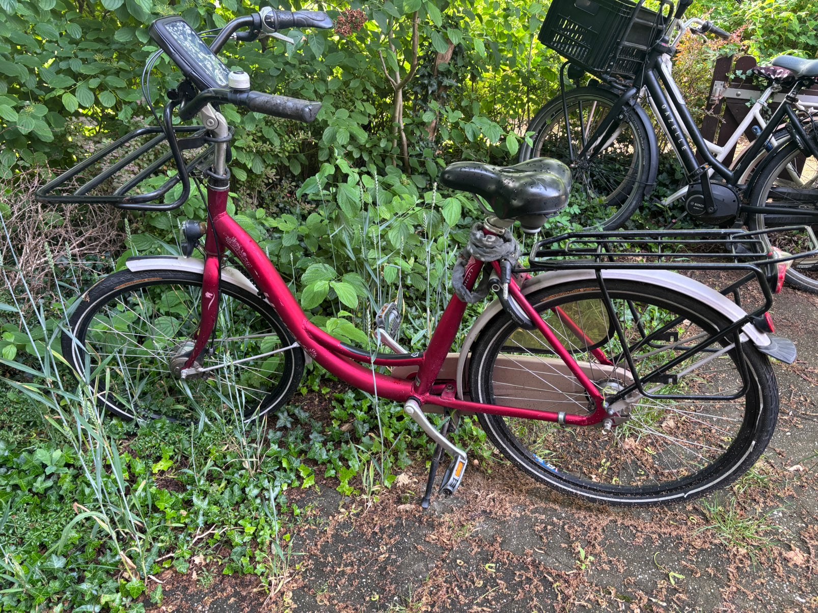 Fijne Union damesfiets, lage instap, Terugtraprem, Gebruikt, 47 tot 50 cm, Versnellingen
