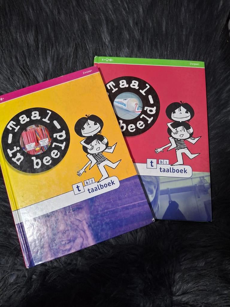 Taal in beeld taalboek t b1 en t b2 Zwijsen, Boeken, Schoolboeken, Gelezen, Ophalen of Verzenden, Zwijsen, Nederlands