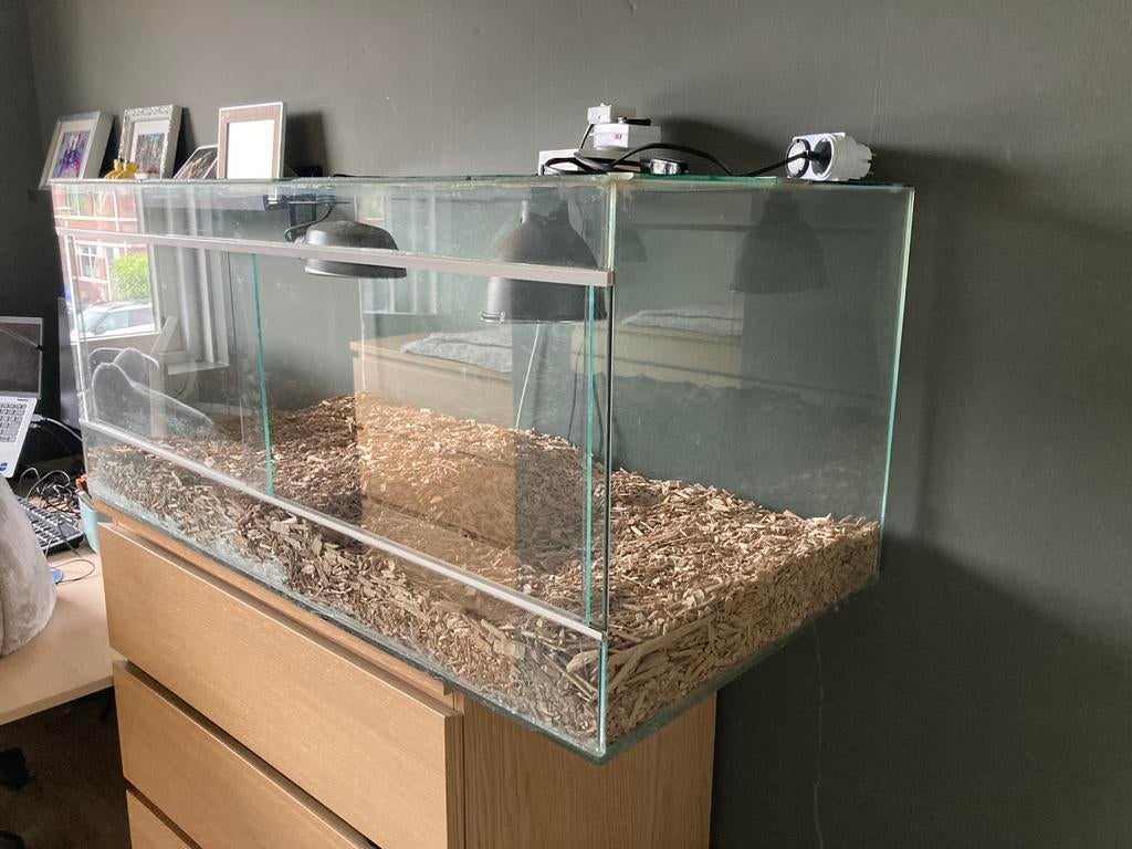 Terrarium reptielen schildpadden hagedissen, Ophalen, Gebruikt, Terrarium of Paludarium