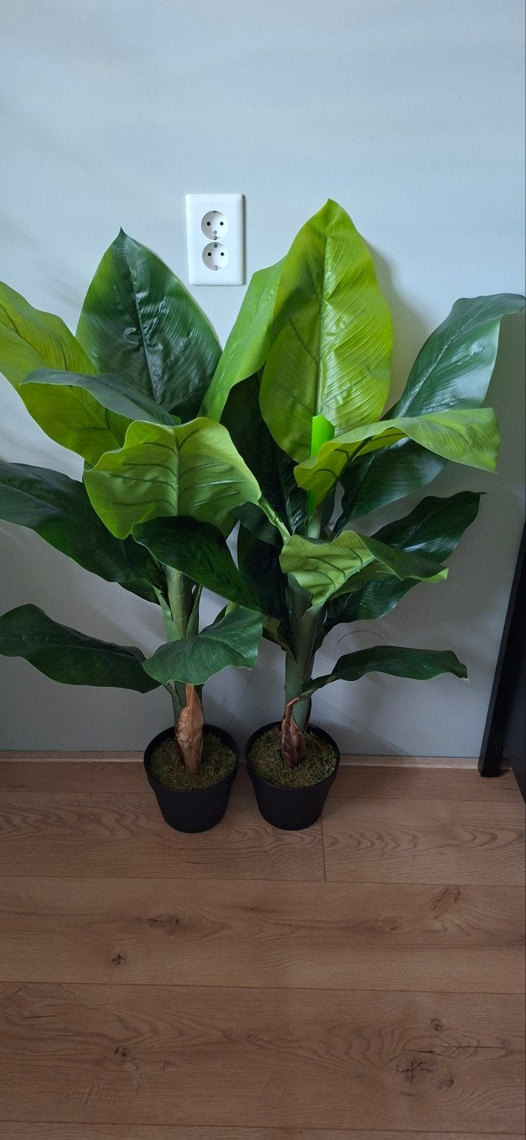 2 bananen kunstplanten 100 cm., Ophalen of Verzenden, Halfschaduw, Minder dan 100 cm