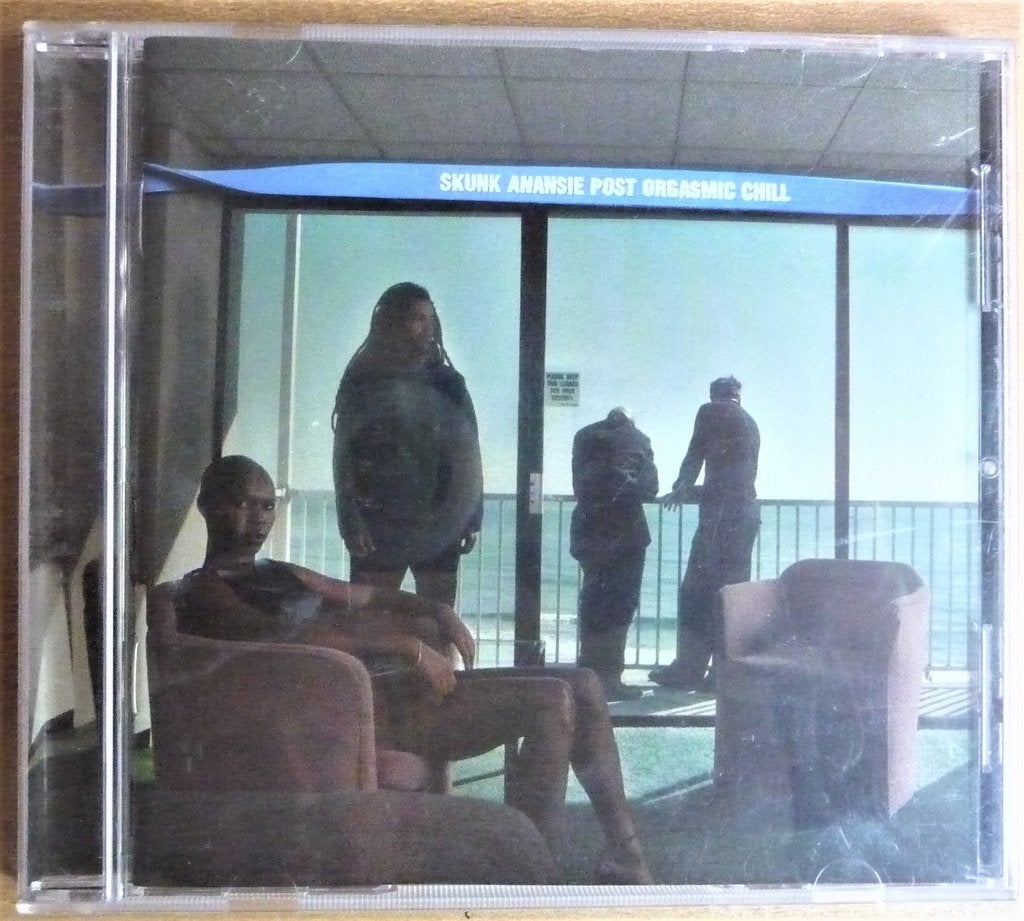 Skunk Anansie - Post Orgasmic Chill, Ophalen of Verzenden, Gebruikt, Poprock