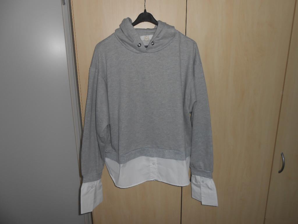 Mooie grijze hoodie maat M/L van JCL z.g.a.n, Kleding | Dames, Maat 38/40 (M), Ophalen of Verzenden, Zo goed als nieuw, JCL