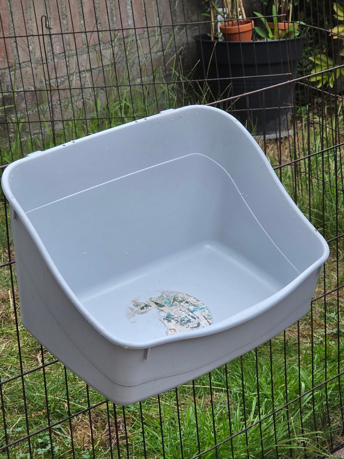 toilet voor konijnen of cavia's, Ophalen of Verzenden, Gebruikt