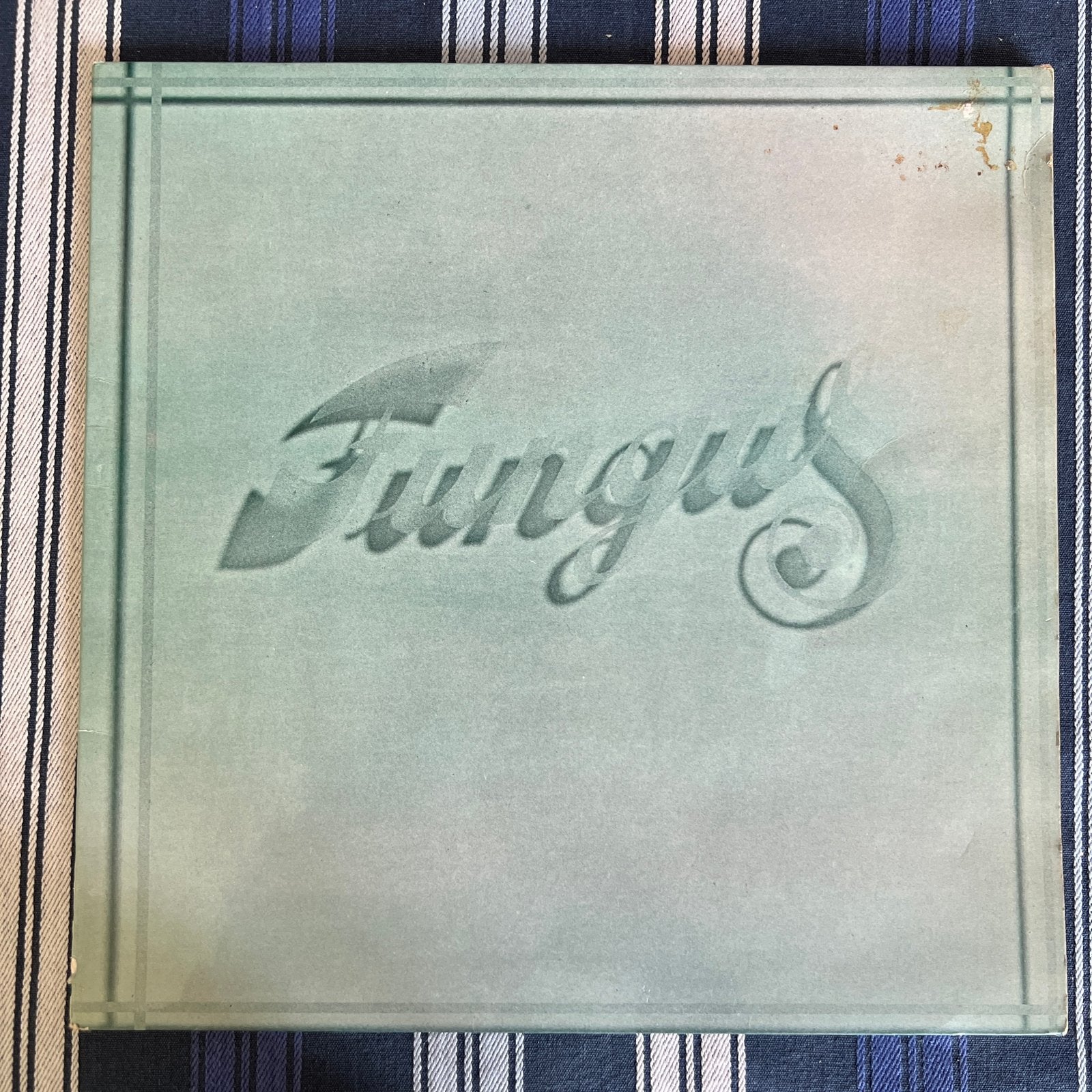 Fungus - Fungus LP (1974) Negram NR 102 Folk Rock Vinyl, Ophalen of Verzenden, Gebruikt, 12 inch