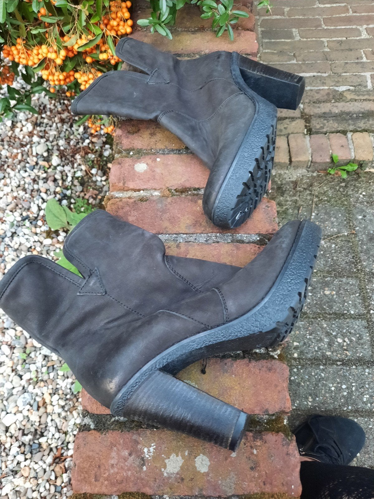 leergevoerde OMODA laarsjes  40, Dressuur, Overige merken, Nieuw, Ophalen of Verzenden