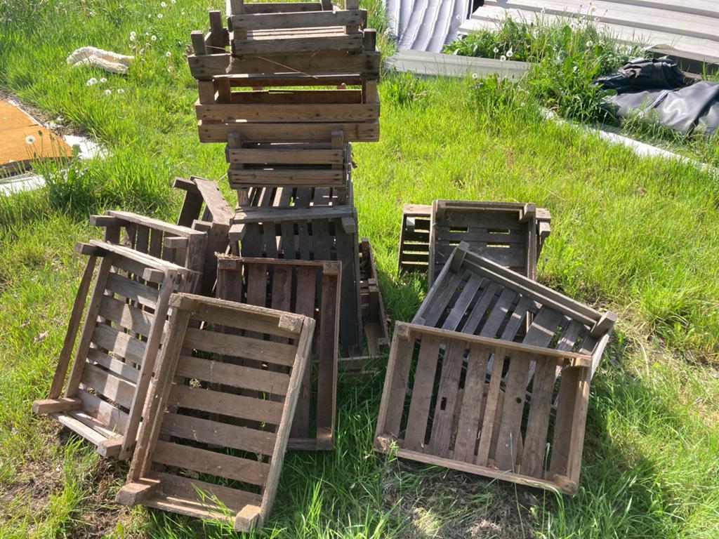 20 Houten aardappelkistjes / fruitkratten - decoratie, Ophalen, Gebruikt, Bruin, Vintage