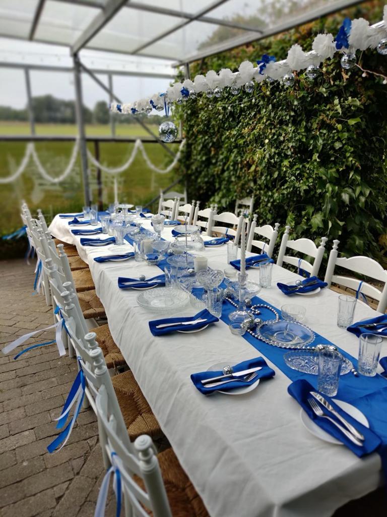 Feest Tafels Stoelen Partyspullen Huur, Ophalen, Zo goed als nieuw