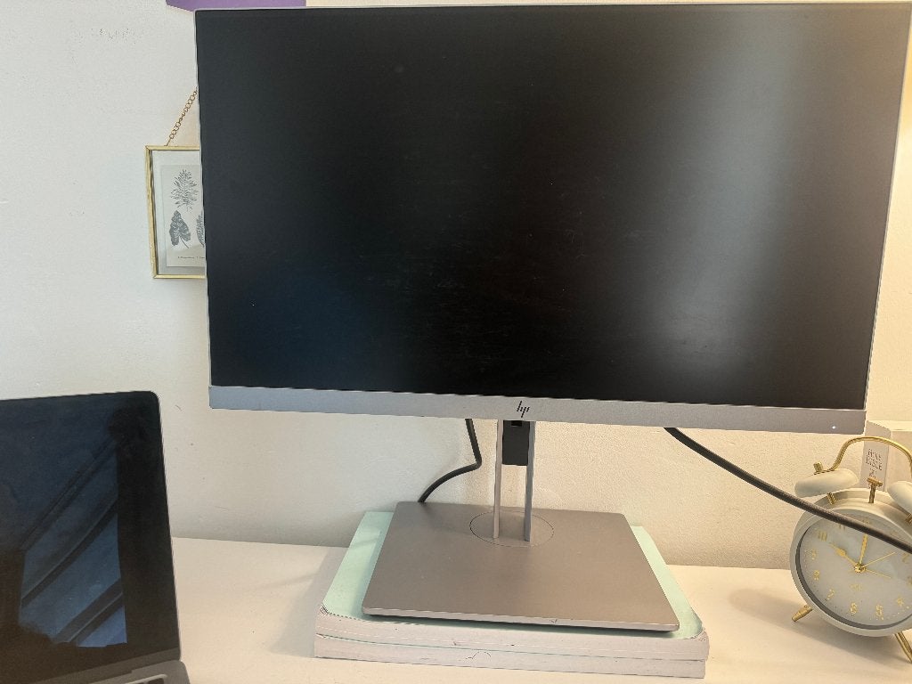 Monitor Screen HP