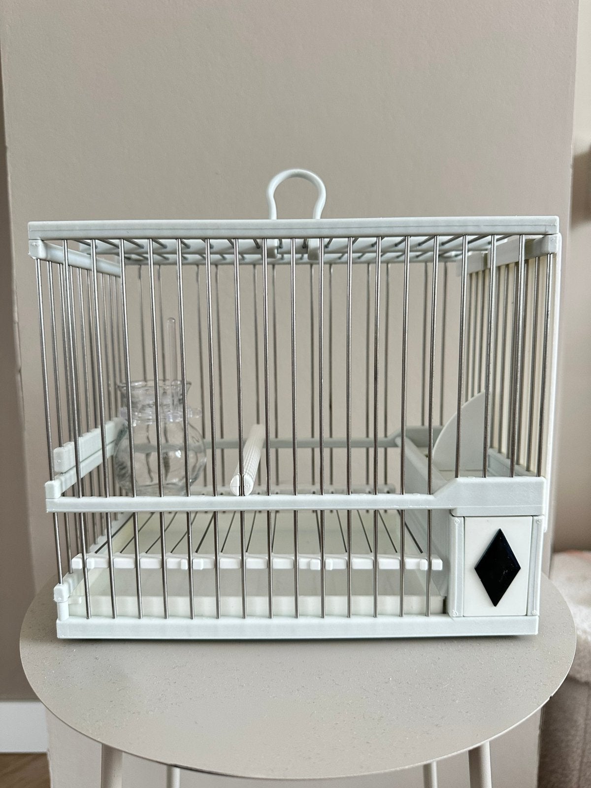 Spaanse Putter zangkooien Nieuw, Dieren en Toebehoren, Mannelijk, Wildzangvogel