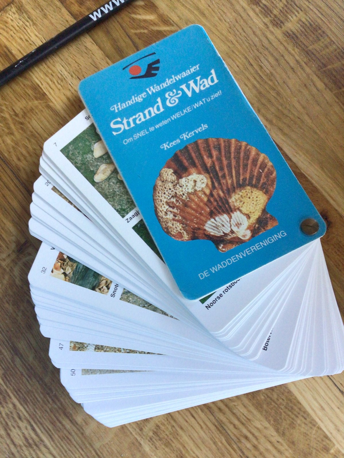 Kees Kervels, Handige wandelwaaier Strand & Wad, Boeken, Natuur, Ophalen of Verzenden, Zo goed als nieuw, Wandel- of Recreatiegebieden