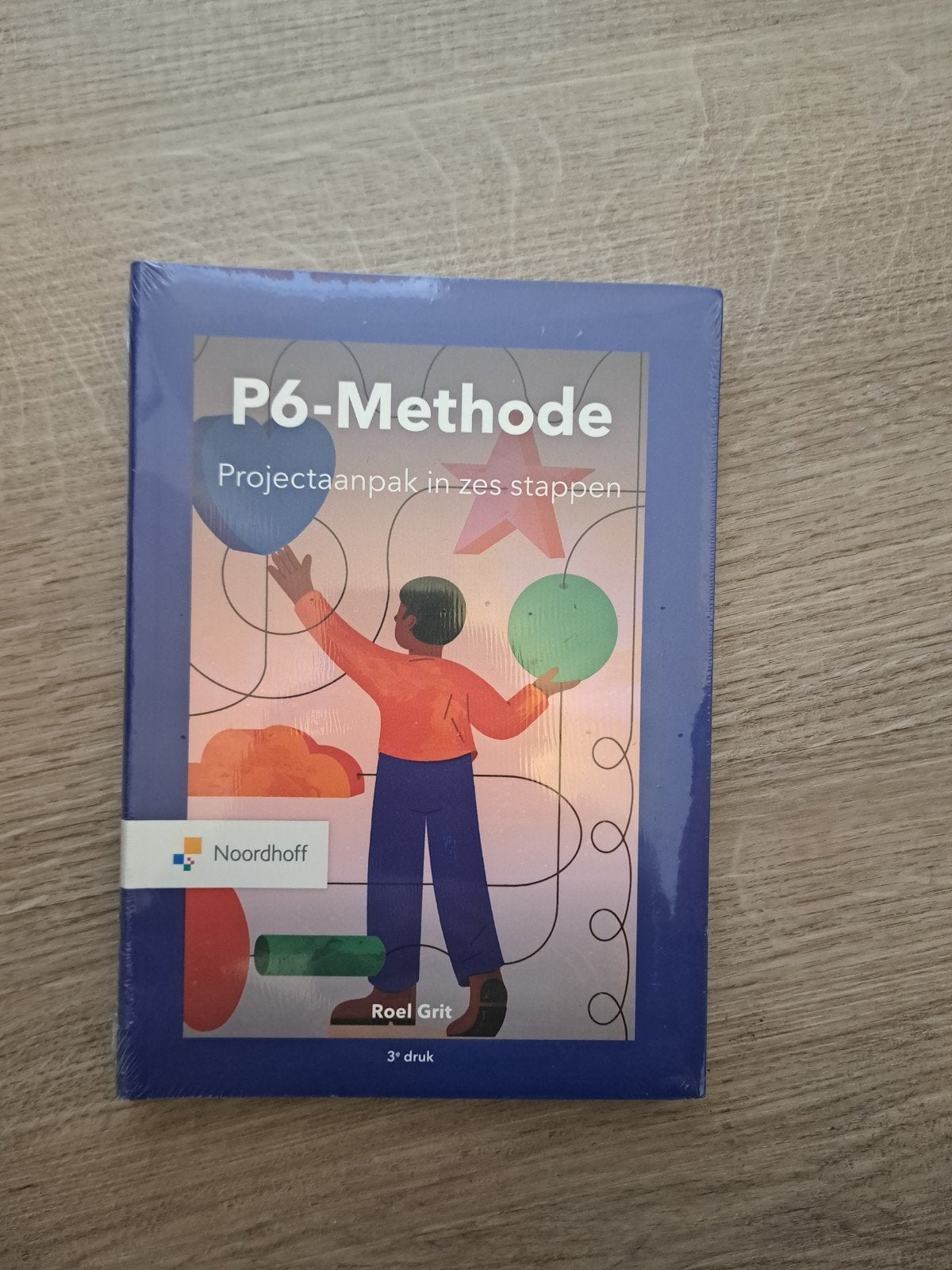P6-Methode: Projectaanpak in zes stappen - Roel Grit, Gamma, Nieuw, Roel Grit, HBO