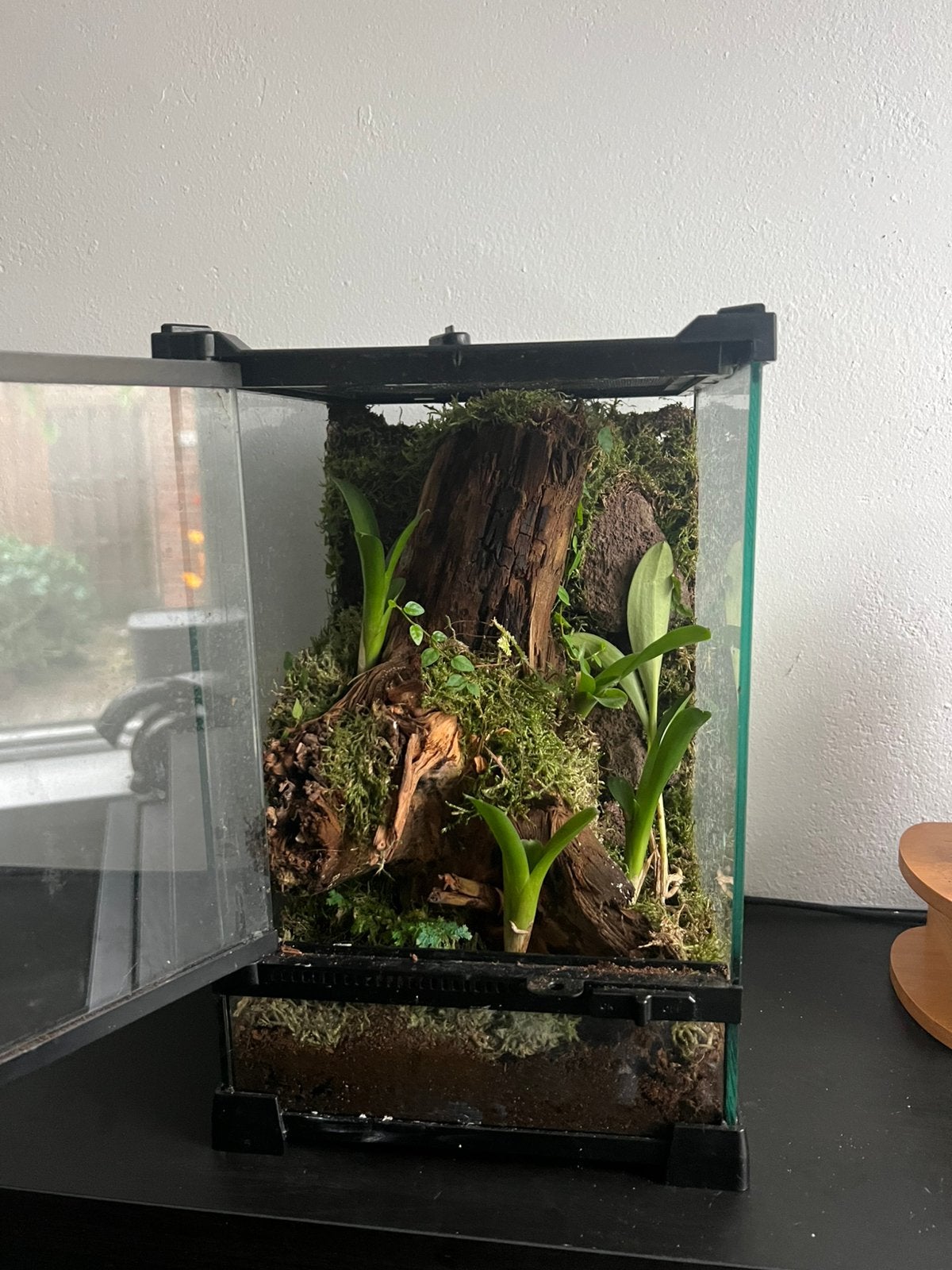 Terrarium 20x20x30, Dieren en Toebehoren, Ophalen, Zo goed als nieuw