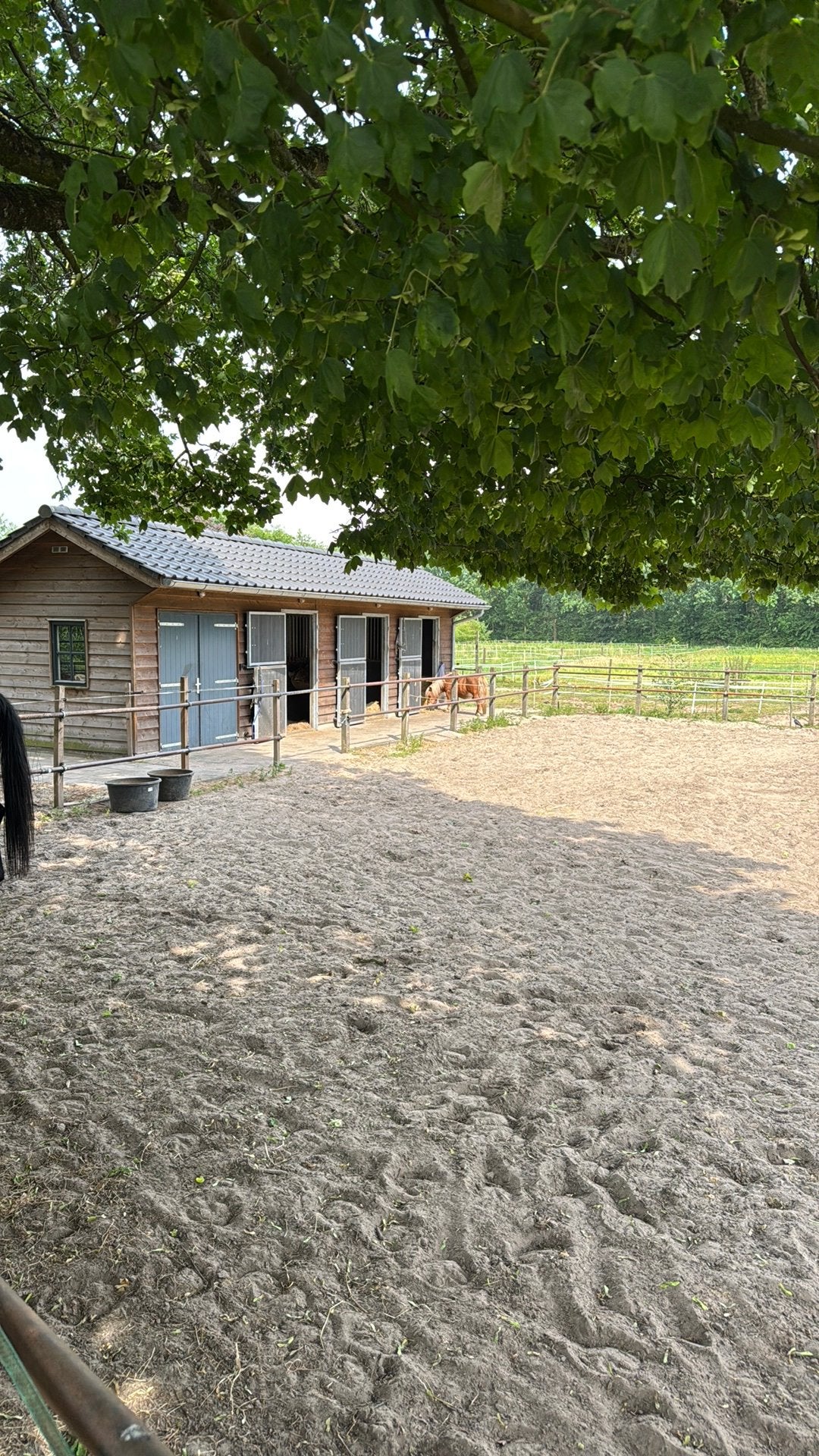 Te huur paarden box met weidegang., Dieren en Toebehoren, Weidegang