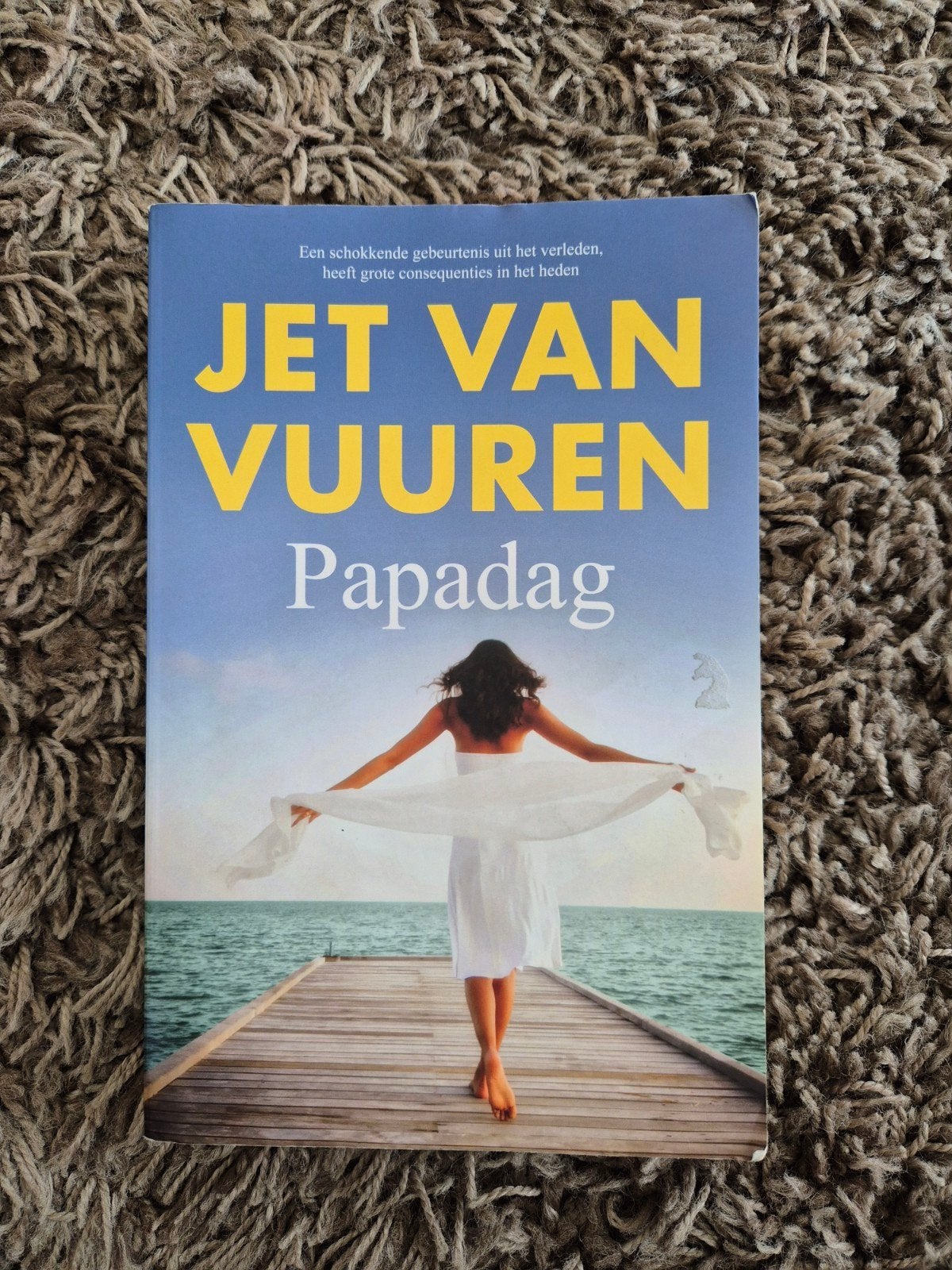 Jet van Vuuren - Papadag, Ophalen of Verzenden, Zo goed als nieuw, Jet van Vuuren