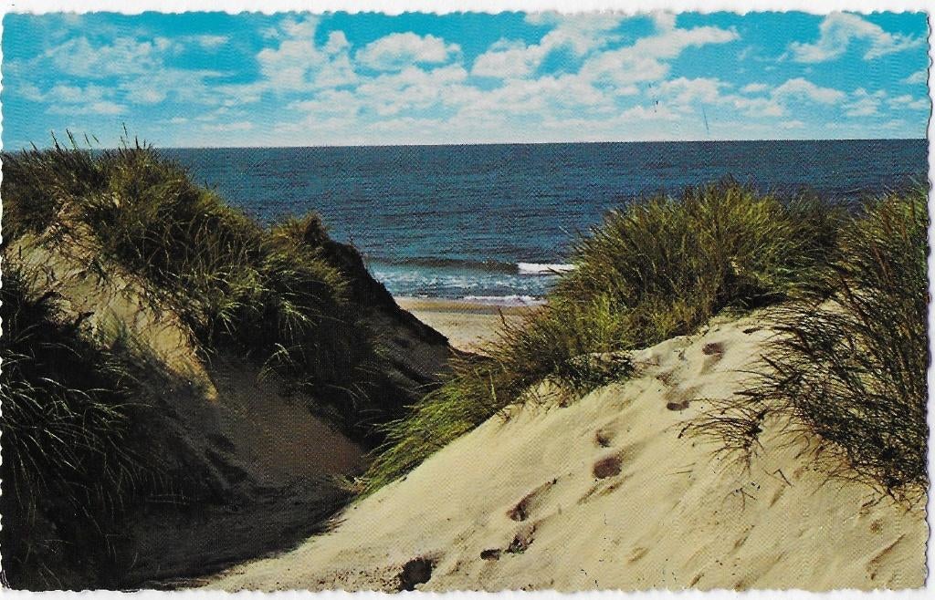 De duinen Oude Gelopen Ansichtkaart (B3261 ), Ophalen of Verzenden, 1960 tot 1980, Gelopen