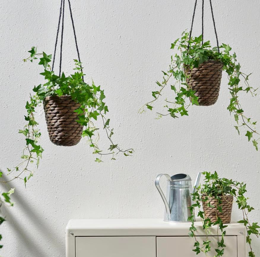 10 stuks IKEA DRUVFLÄDER plantenhangers, zonder planten!!, Ophalen of Verzenden, Zo goed als nieuw