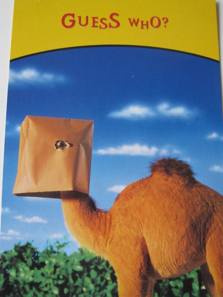 College card van Camel - guess who?    nieuwe kaart, Verzenden, 1980 tot heden, Ongelopen, Overige thema's