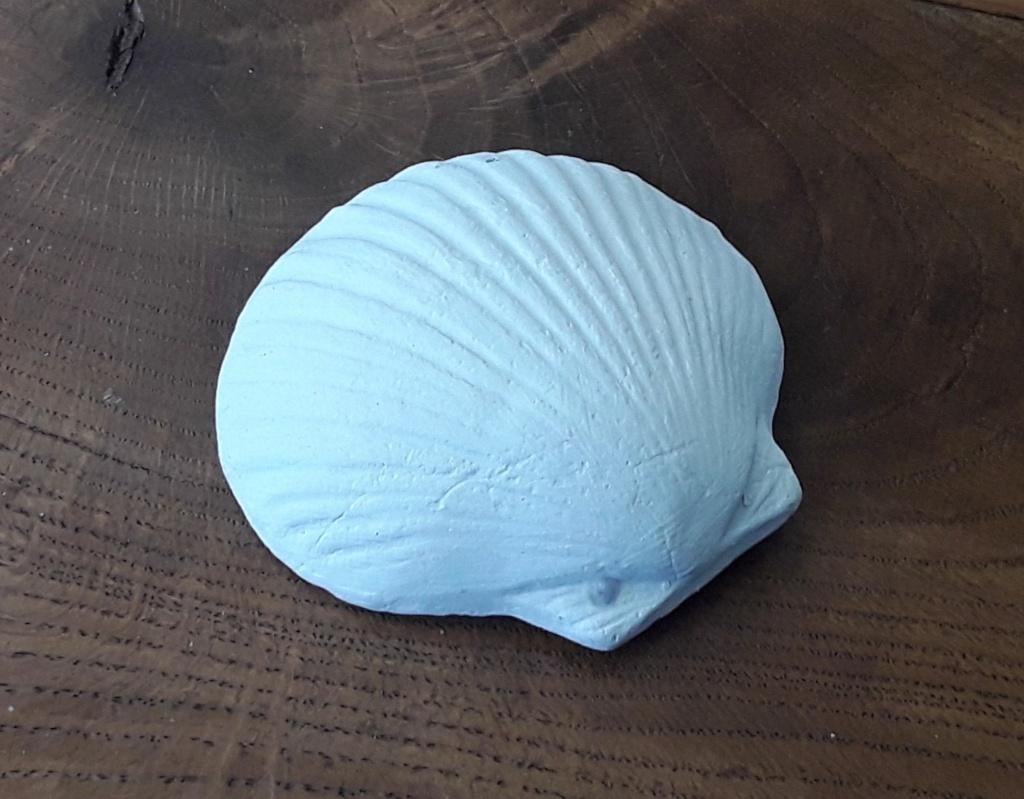 Betonnen schelp voor decoratie binnen of buiten, Huis en Inrichting, Woonaccessoires | Overige, Ophalen of Verzenden, Zo goed als nieuw