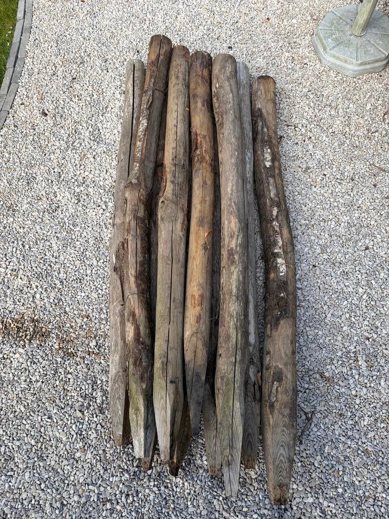 10 Robinia houten palen 200cm lang, Gebruikt, Palen, Ophalen of Verzenden, Hardhout