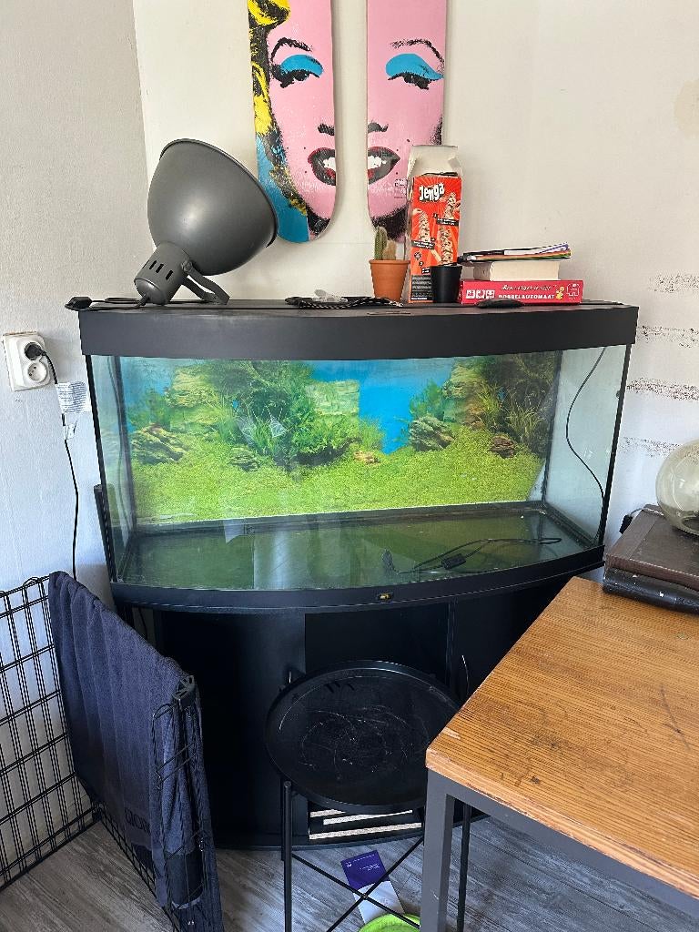 260L Juwel aquarium, Dieren en Toebehoren, Vissen | Aquaria en Toebehoren, Ophalen, Zo goed als nieuw, Leeg aquarium, Juwel