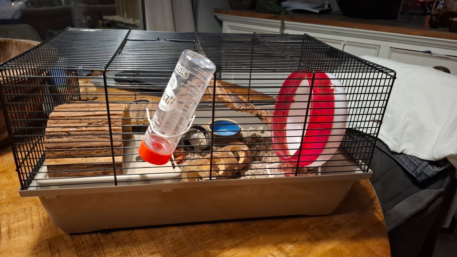 Hamsterkooi incl alle benodigdheden, Ophalen of Verzenden, Gebruikt, Loopwiel of Rad