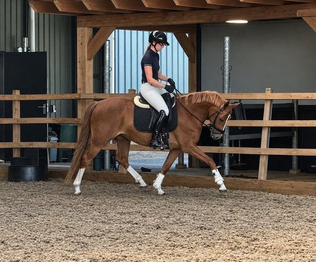 Super lieve en getalenteerde D-pony, Dieren en Toebehoren, Pony's, Merrie, D pony (1.37m tot 1.48m), 3 tot 6 jaar