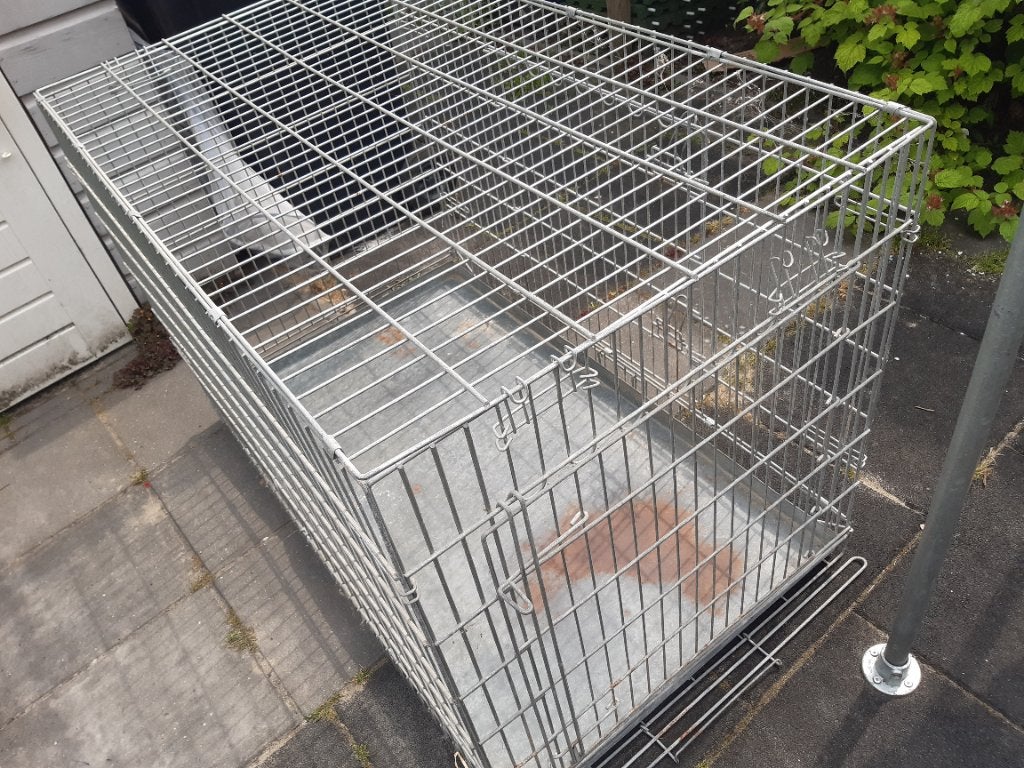 Honden bench (groot), Dieren en Toebehoren, Ophalen, Gebruikt