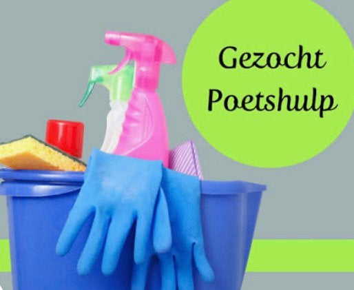 Huishoudelijke hulp gezocht in Susteren, Overige niveaus, Overige vormen