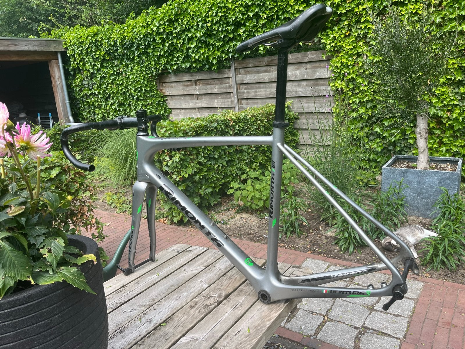 Rimonta Ventura Carbon frame - Super licht en snel, Fietsen en Brommers, Fietsonderdelen, Frame, Gebruikt, Ophalen of Verzenden