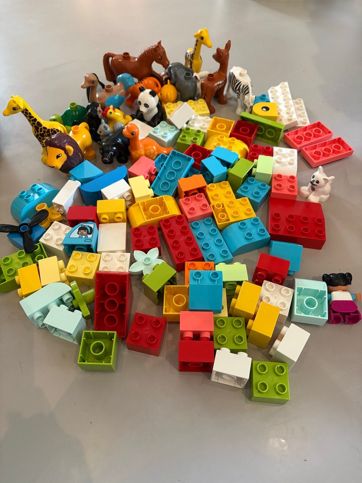 Duplo Creatieve Set met Dieren en Bouwstenen, Inclusief minifiguren, Ophalen of Verzenden, Zo goed als nieuw, Duplo
