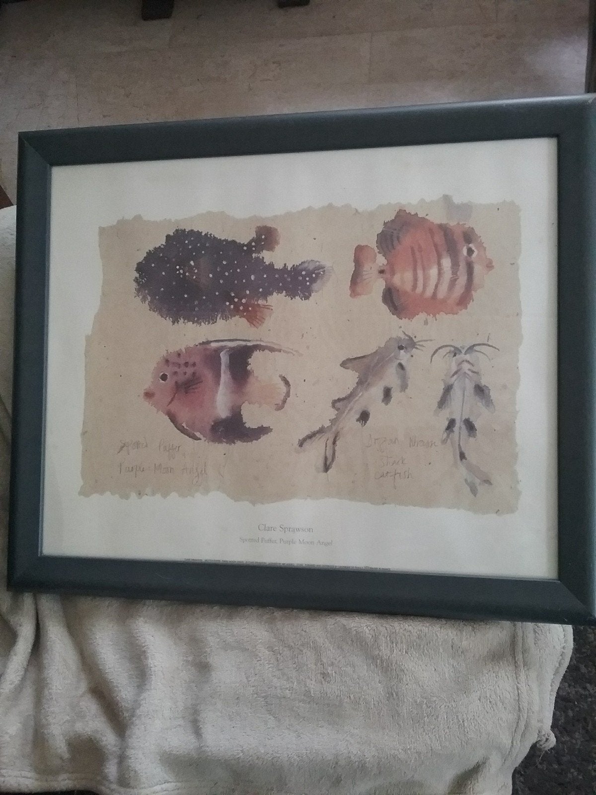 2 INGELIJSTE POSTERS VAN CLARE SPRAWSON "VISSEN", Ophalen, A1 t/m A3
