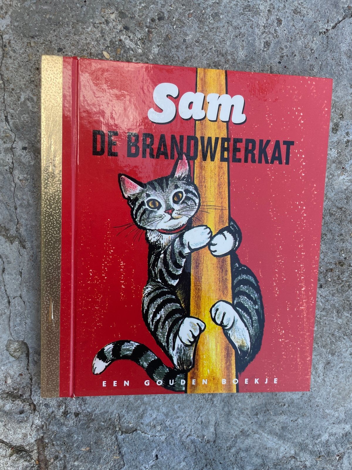 Sam de Brandweerkat - Een Gouden Boekje, Ophalen of Verzenden, Zo goed als nieuw, Fictie algemeen