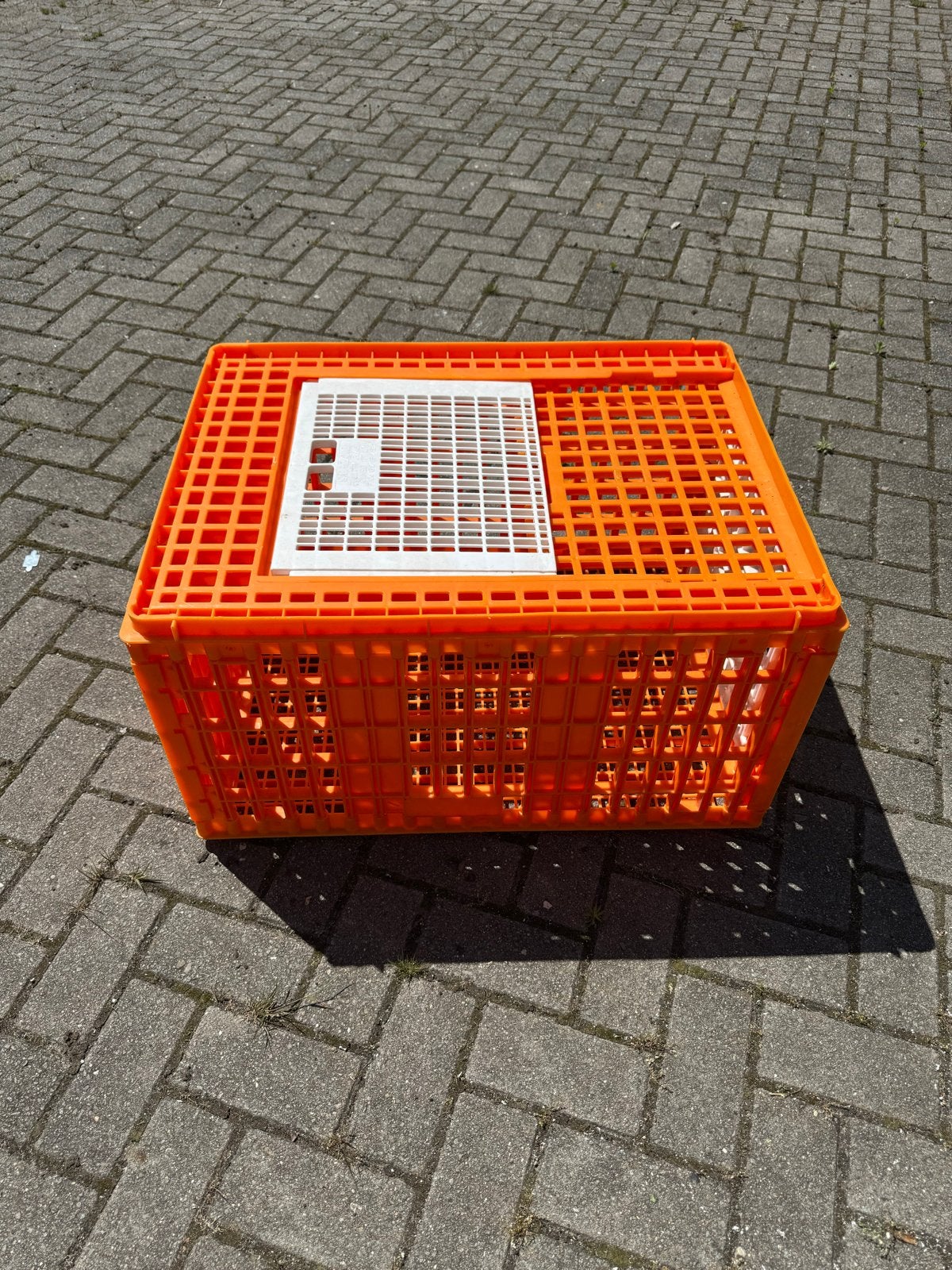 Transportkist voor kippen/pluimvee, Dieren en Toebehoren, Pluimvee | Toebehoren, Ophalen of Verzenden, Zo goed als nieuw, Drinken en Voederen