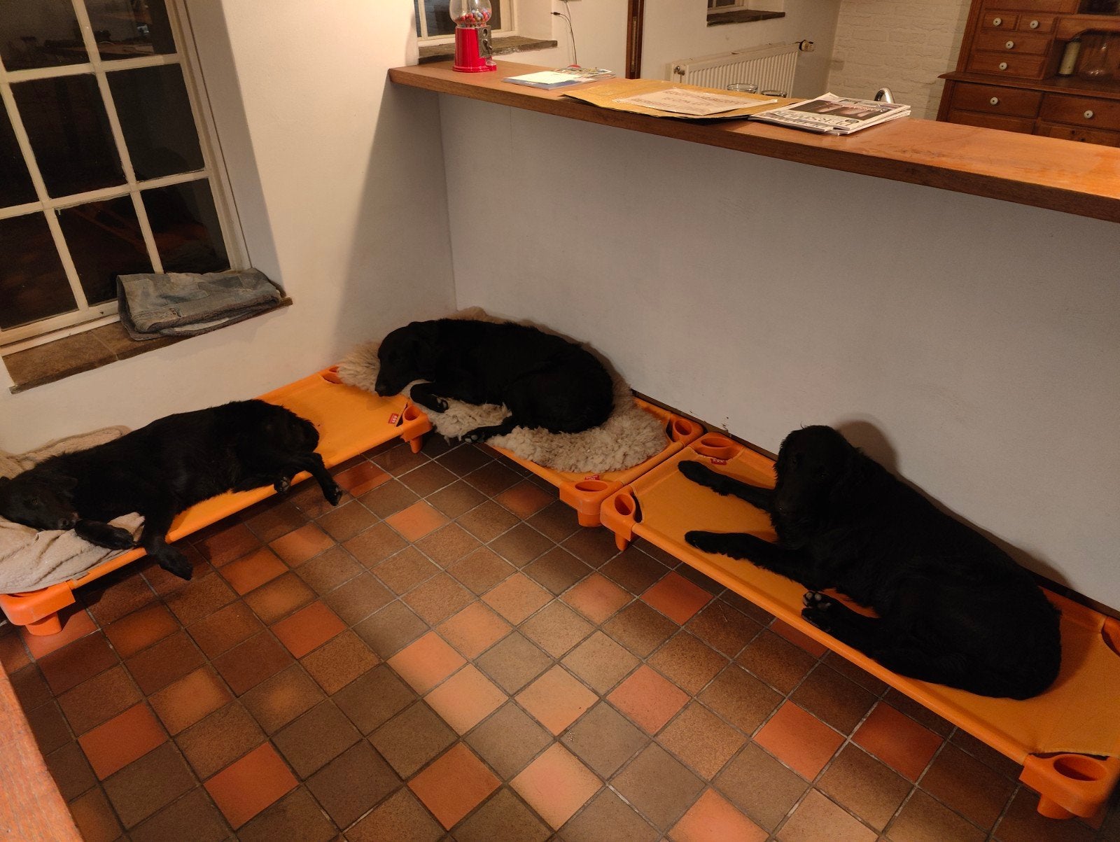 Ideale hondenstretchers  (130 x 60), Ophalen of Verzenden