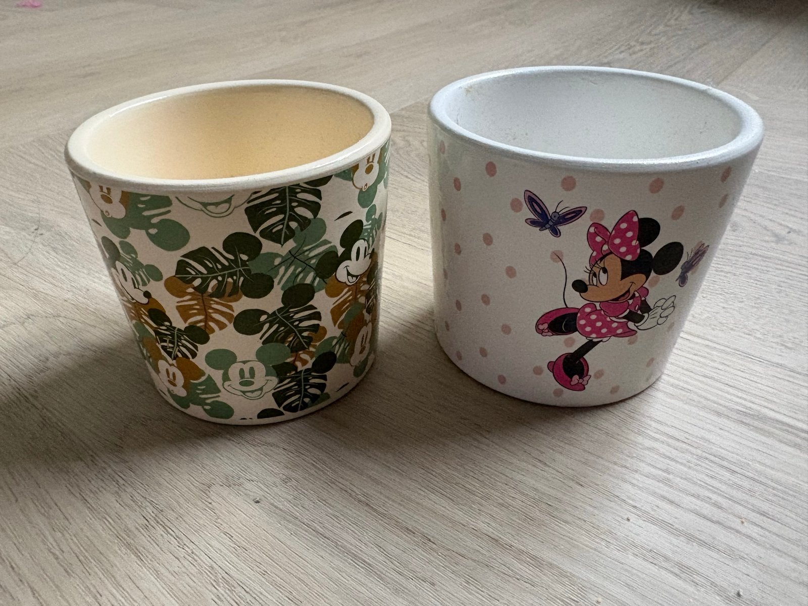 Leuke bloempotten met Mickey en Minnie Mouse, Ophalen, Gebruikt, Rond, Binnen