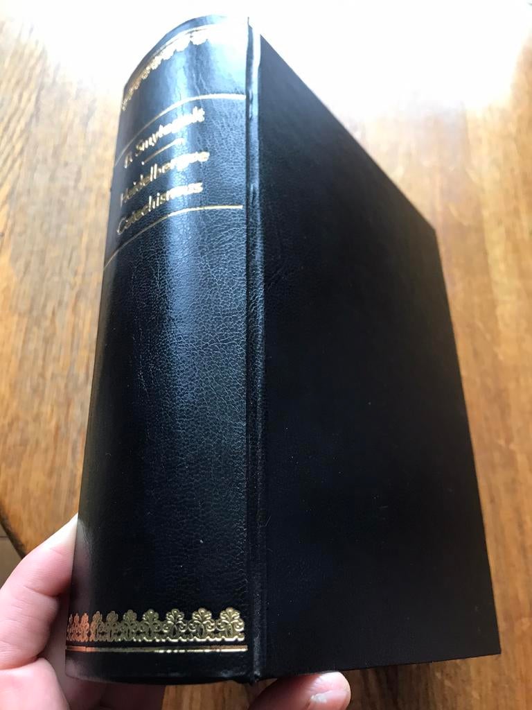 B Smytegelt heidelbergse catechismus, Boeken, Ophalen of Verzenden, Gelezen