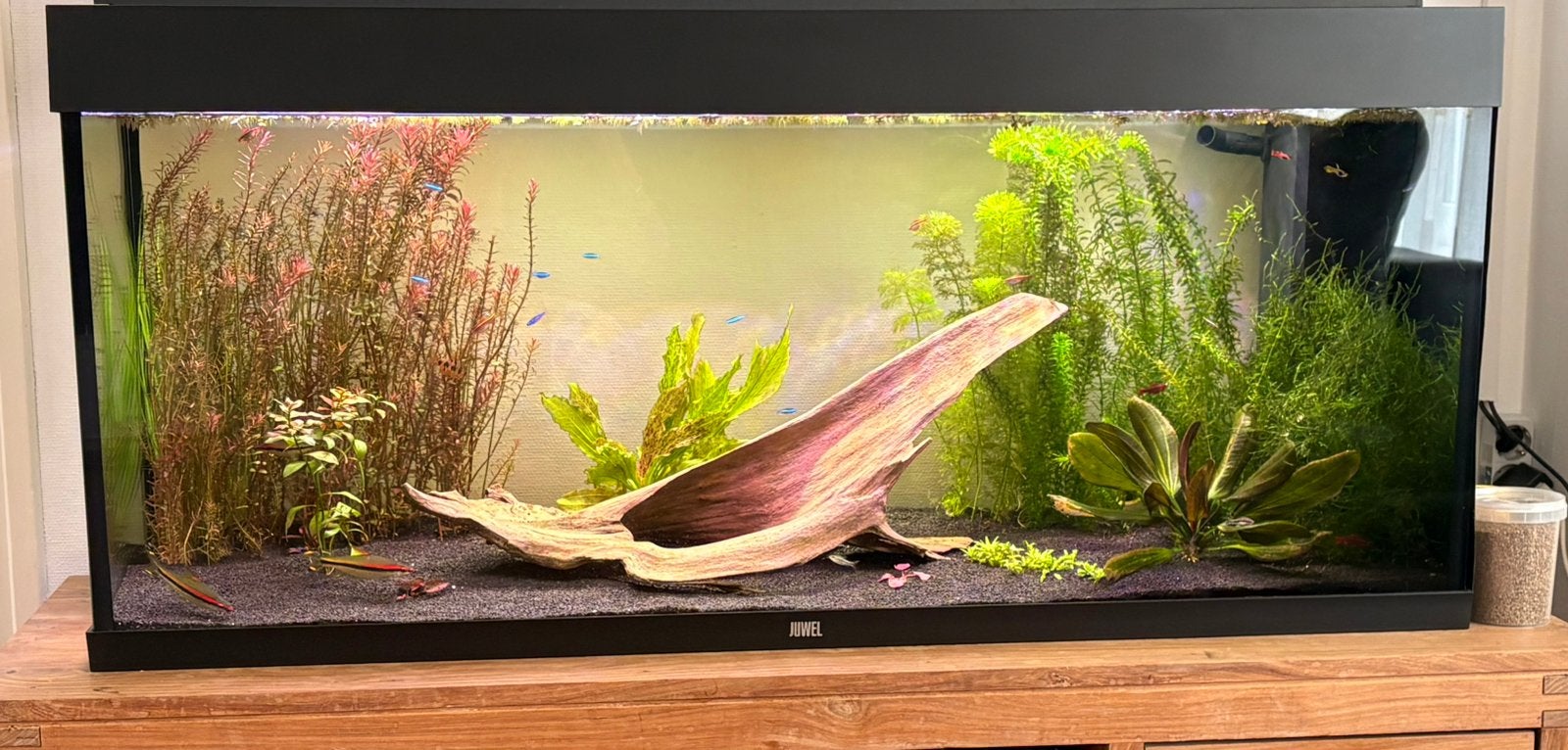 Juwel rio 240 zwart als nieuw, Dieren en Toebehoren, Ophalen, Zo goed als nieuw, Gevuld zoetwateraquarium