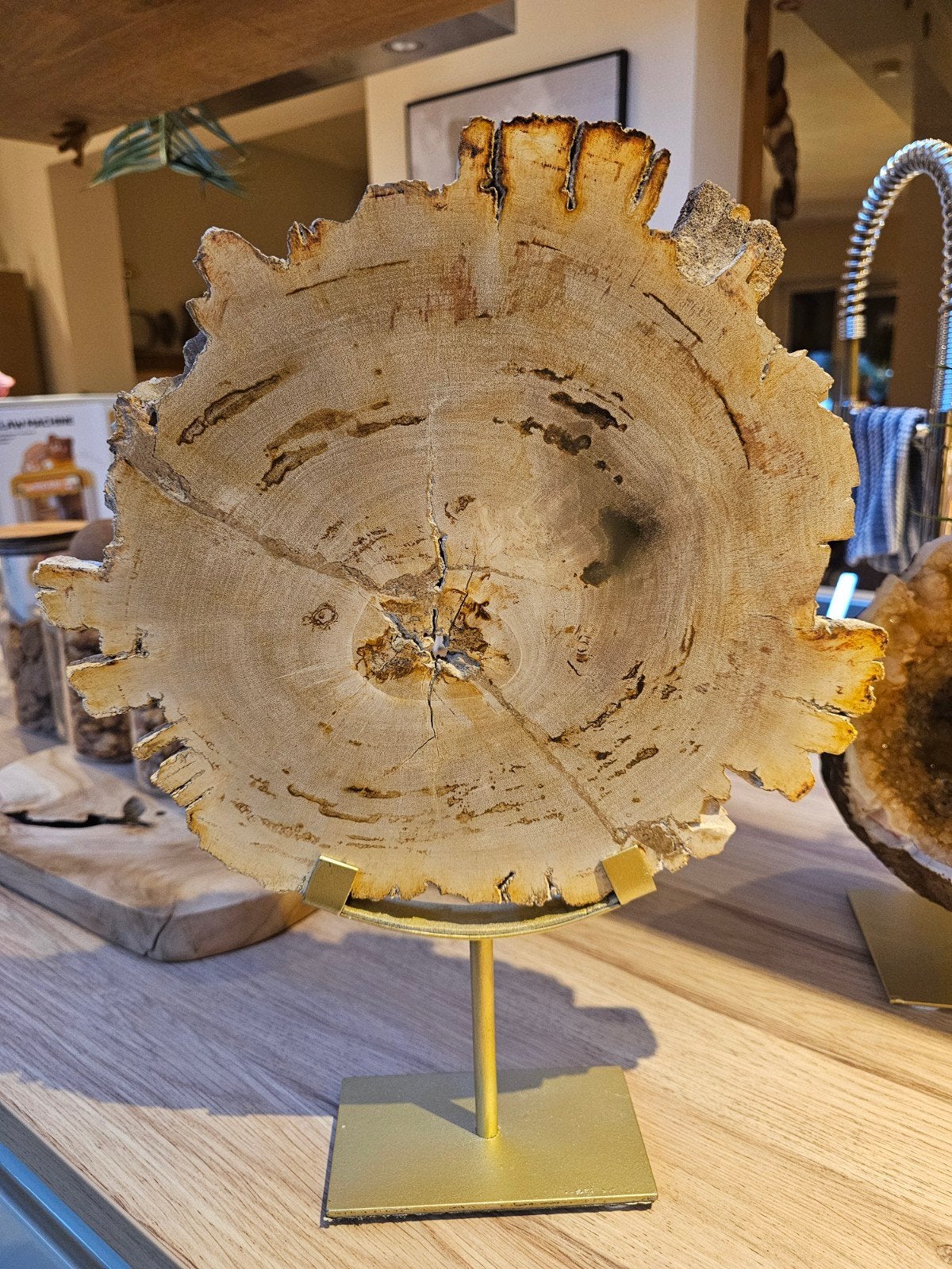 versteend hout slab op gouden standaard, Ophalen of Verzenden