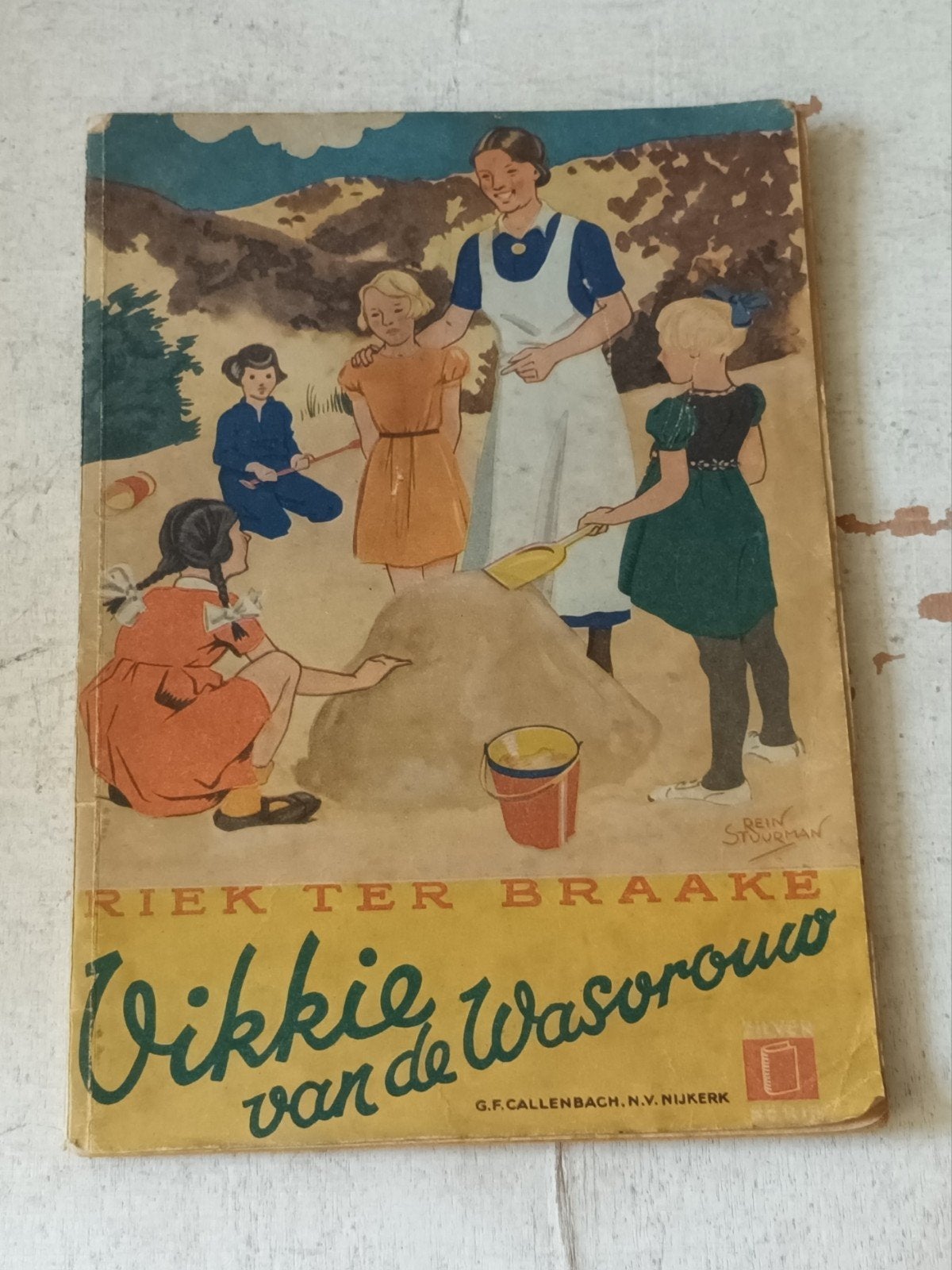 Riek ter Braake - Vikkie van de Wasvrouw (oud kinderboek), Ophalen of Verzenden, Gelezen, Riek ter Braake, Fictie algemeen