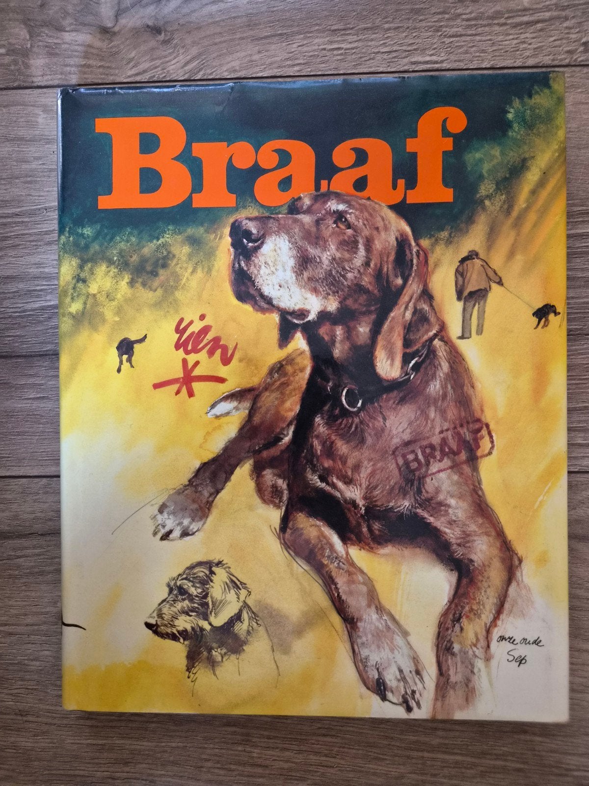 Rien Poortvliet Braaf, Ophalen of Verzenden