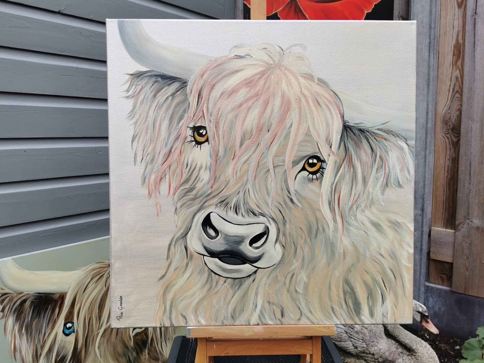 Schilderij Schotse Hooglander - Handgeschilderd Acryl, Ophalen, Textiel, Acrylverf, Dieren