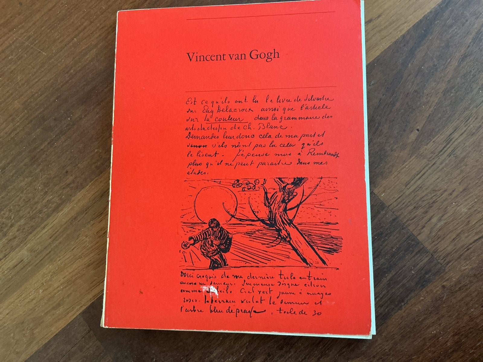 Vincent van Gogh - Schilderijen en tekeningen, Ophalen of Verzenden, Gelezen, Overige onderwerpen