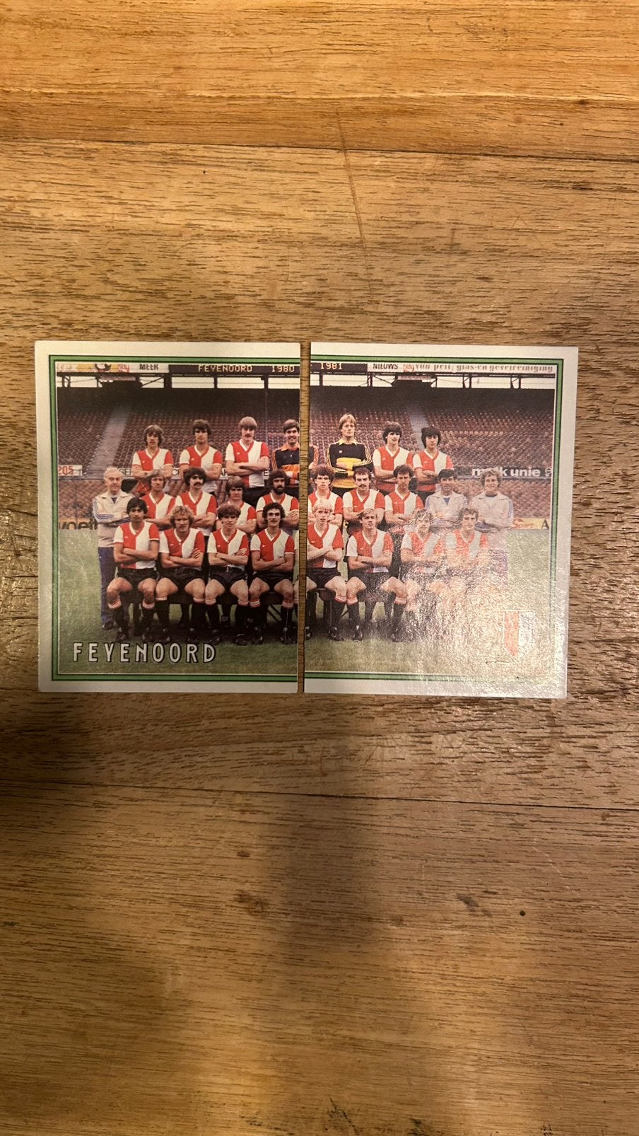 Panini Voetbal 81 plaatjes Team Feyenoord, Verzenden, Zo goed als nieuw, Meerdere plaatjes