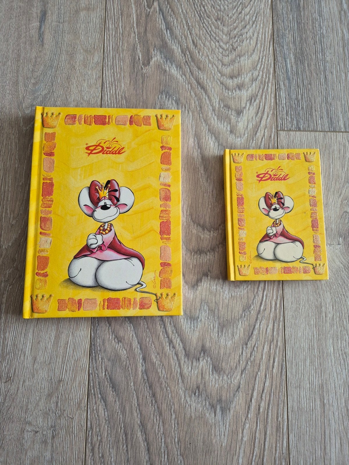 Diddl schriften met glitters A5 en A6 met harde kaft, Verzamelen, Ophalen of Verzenden, Diddlina, Gebruikt, Papier, Kaart of Schrift