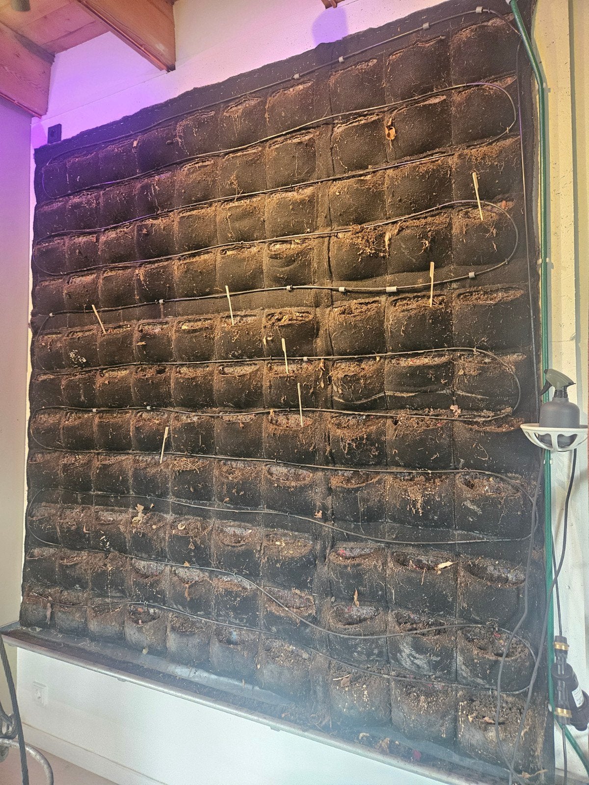 Vilt voor verticale plantemuur/tuin, Ophalen, Overige materialen, Gebruikt, 100 cm of meer