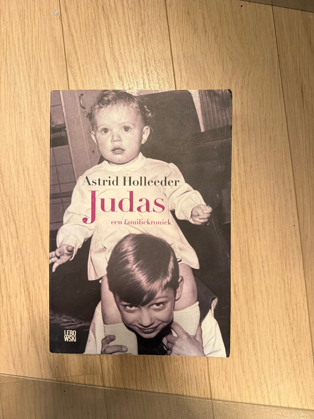 Judas: Een Familiekroniek - Astrid Holleeder, Ophalen of Verzenden, Gelezen, Overige